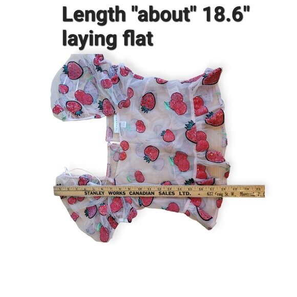 Sequin Strawberry Mesh Topshop Nylon Top size 2 - Picture 11 of 13